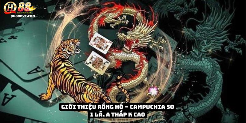 Tổng quan rồng hổ QH88: nguồn gốc châu Á